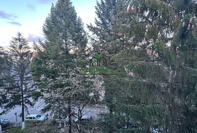 Apartament 2 camere - Zona Nord - 10