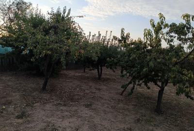 Casă cu 3 camere în Segarcea-Deal - 7