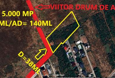Mogosoaia-Teren 5.000 mp Str. Nichita Stanescu - Pretabil Proiect Imobiliar - 1