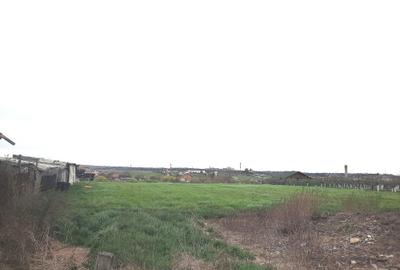 Casă cu 3 camere în Rontău - 2