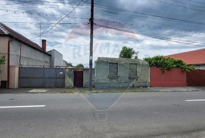 Teren Aradul Nou-2.311mp cu livada si utilitati, ideal pentru locuinte - 12