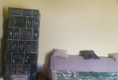 Casă cu 2 camere în Balș - 5