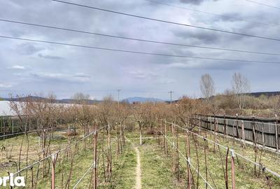 Casă cu 5 camere cu Teren 3000 Mp în Budești - 5