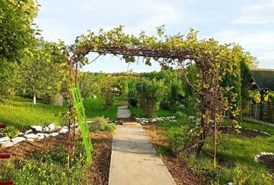 Casa ( P+E ) Zona Mitocasi-Mitocul Dragomirnei - 8