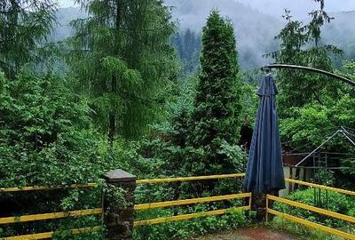 Casă cu 6 camere cu Teren 4600 Mp în Tarcău - 3