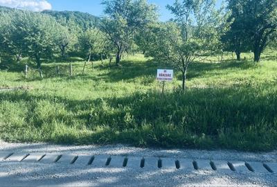 Spațiu comercial, în Morilor - 3