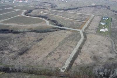 Teren de 5000 mp, în Albina - 5