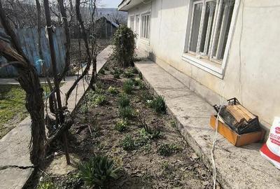 Casă cu 4 camere cu Teren 550 Mp în Central - 2