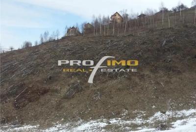 Teren în Moieciu - 7