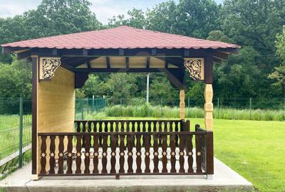 Conacul CERUL VLASIEI cu Grădină 1077 m2 langa padure Conacul CERUL VLASIEI cu Grădină 1077 m2 langa padure - 7