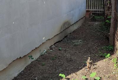 Casă cu 1 camere cu Teren 180 Mp în Dascălu - 2