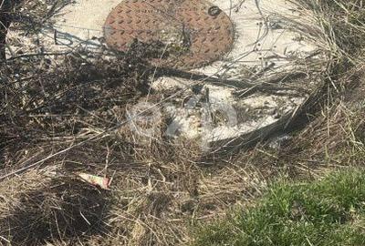 Spațiu comercial, în Trivale - 2