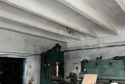 Spațiu comercial, de 1,600 mp, în Viișoara - 1