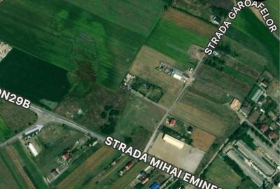 Teren de 1000 mp, în Cătămărești