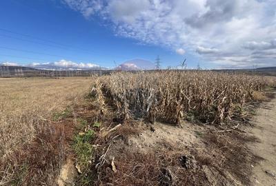 Teren agricol extravilan de 2800 mp, în Șelimbăr - 3