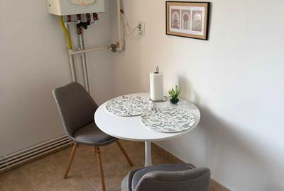 Garsonieră decomandată în 22 Decembrie - 3