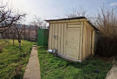 Teren în Pruni - 8
