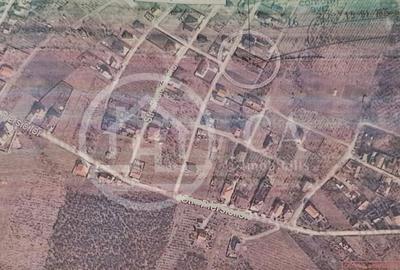 Spațiu comercial, în Paleu - 2