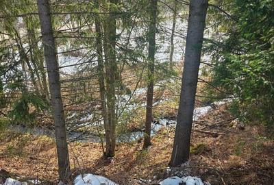 Teren intravilan de 15000 mp, în Gura Haitii - 5