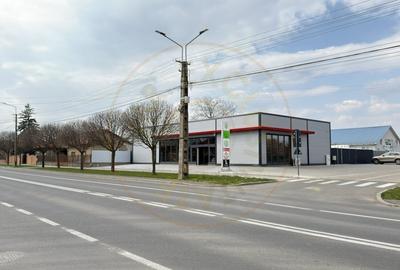 Spațiu comercial, de 296 mp, în Carei - 12