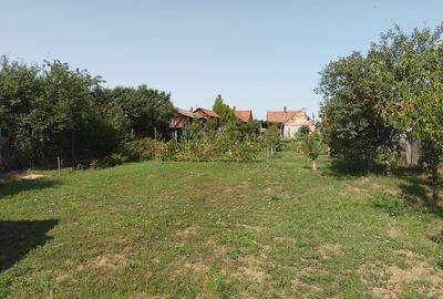 Spațiu comercial, în Tămășeu - 2