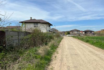 Pantelimon - Lebada - str.Sinaia, teren  24750 mp -Autorizatie de construire - 4