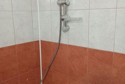 Apartament cu 2 camere semidecomandat în Lotrioara - 8