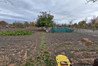 Casă cu 3 camere cu Teren 1783 Mp în Voiteg - 1