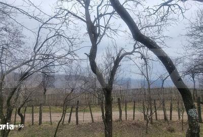 Teren de 3781 mp, în Izvoarele - 12