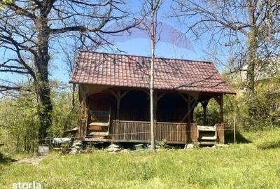 Casă cu 3 camere cu Teren 6039 Mp în Desești - 10