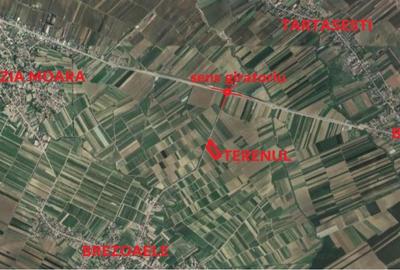 Teren Construcții intravilan de 5000 mp, în Brezoaele - 1