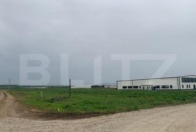 Teren intravilan, 41000 cu PUZ pentru hala, zona Alba-Sebes Teren intravilan, 41000 cu PUZ pentru hala, zona Alba-Sebes - 3