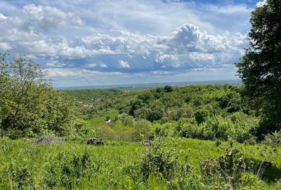 Oportunitate investi?ie Manastirea Dealu - 2