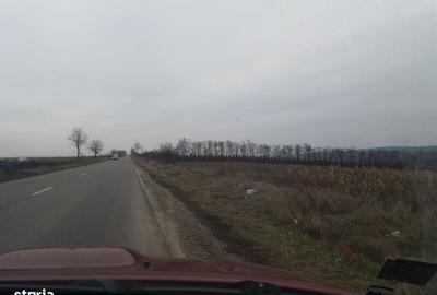 Spațiu comercial, în Cucorăni - 1