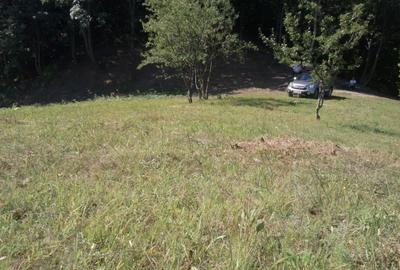 Teren livadă cu panoramă superbă Dealul Malului pentru casă sau cabană - 16