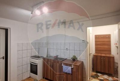 Apartament cu 1 camere de inchiriat in zona Semicentrala - 4