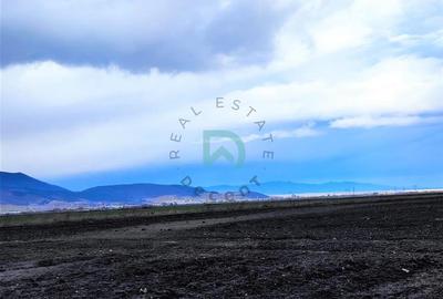 Teren agricol extravilan de 136000 mp, în Cristian - 3