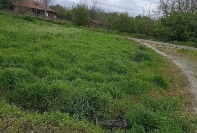 Teren de 750 mp, în Vlădiceasca - 2