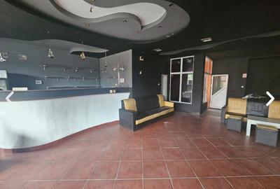 Imobil+ teren zona turistica județul Argeș- 1500 mp teren și 400 mp utili imobil - 10