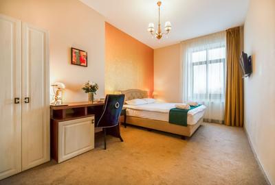 Apartament cu 3 camere decomandat, mobilat în Drumul Poienii - 4