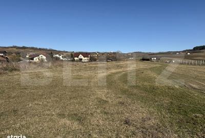 Teren de 5800 mp, în Hereclean - 5