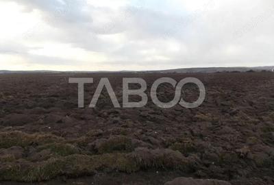 Teren de 10000 mp, în Central - 4