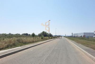 Teren Construcții intravilan de 4137 mp, în Juc-Herghelie - 3