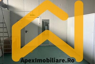 Spațiu comercial, de 550 mp, în Malu Roșu - 21