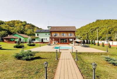 Proprietate Deosebita - Liziera Padurii - 3