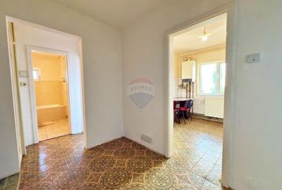 Apartament decomandat, situat la 100 m de Piata Catedralei, Arad - 9