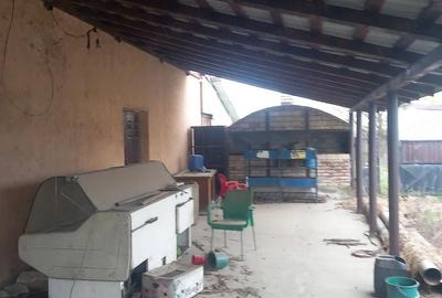 Casă cu Teren 800 Mp în Tichilești - 5