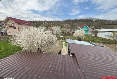 Casă cu 3 camere în Barați - 10