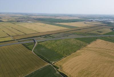 Teren 12 ha la Autostrada A1 cu PUZ aprobat - 3