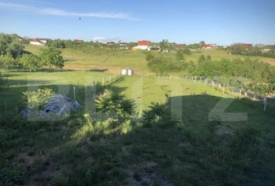 Casă cu 5 camere cu Teren 2600 Mp în Viile Satu Mare - 2